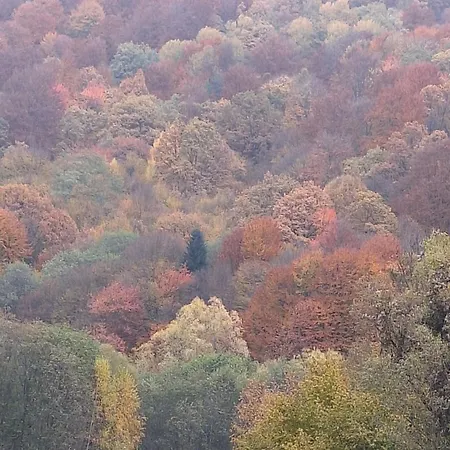 Popasul Dacilor River Side Rîşnov